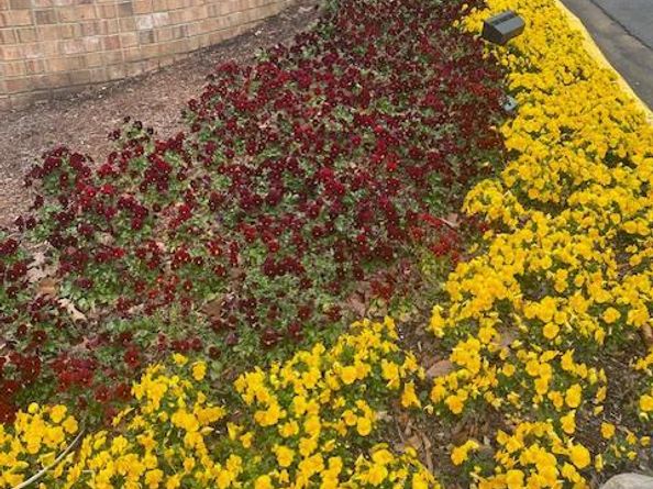 205 Yoakum Parkway 626, Alexandria VA 22304