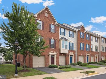 22855 Chestnut Oak Terrace