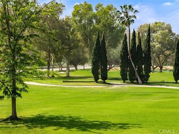 38 Arboles