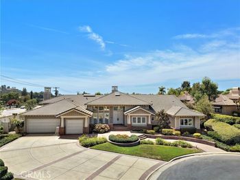 1582 White Alder
