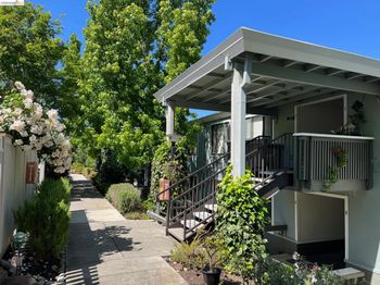 1156 Running Springs Rd.