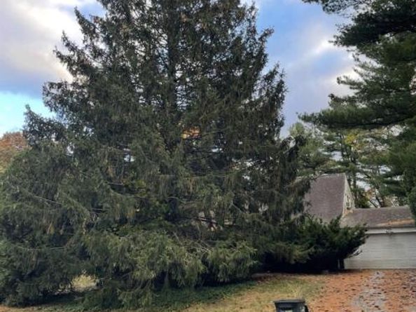 152 Sycamore Circle, Stony Brook NY 11790