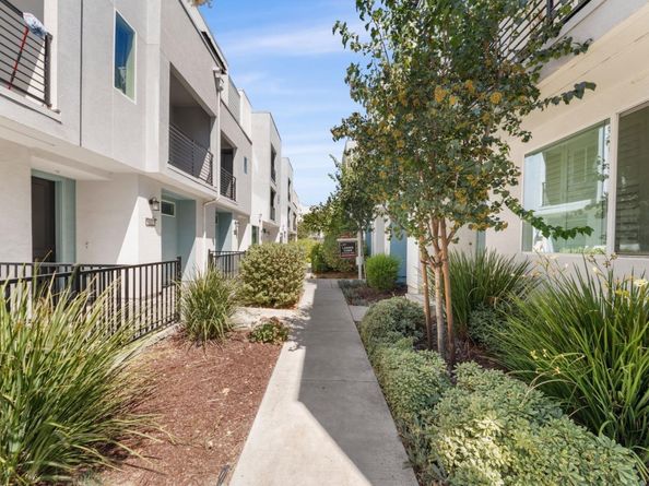 709 Fruit Ranch Loop, San Jose CA 95133