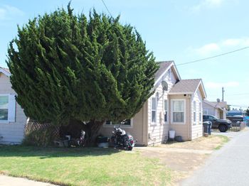 40 Tharp Avenue