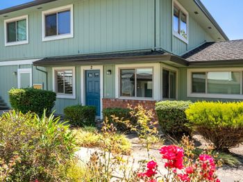 1133 Callas Lane