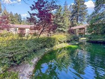 505 Cypress Point Drive