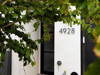 4928  Blaynes View Road 