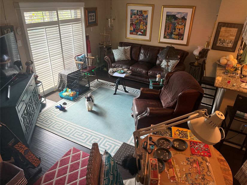 2120 El Paseo Street 703, Houston TX 77054
