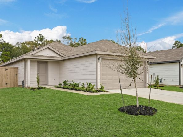 23231 Teakwood Hills Drive, Splendora TX 77372