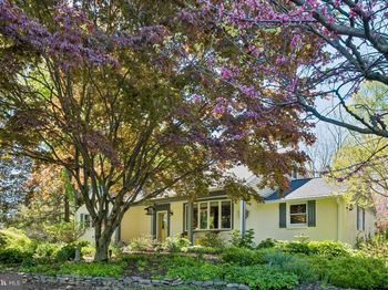 713 Alene Road