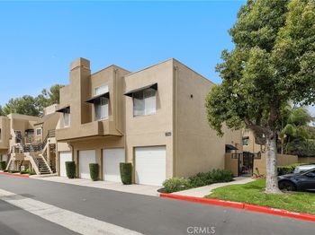 27841 Persimmon