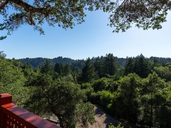 600 Nicasio Way