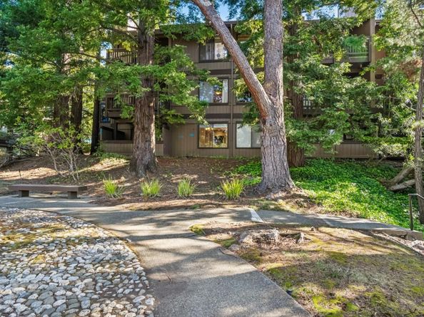 3314 Brittan Avenue 1, San Carlos CA 94070