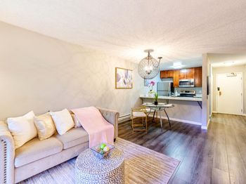 6148 Shelter Creek Lane