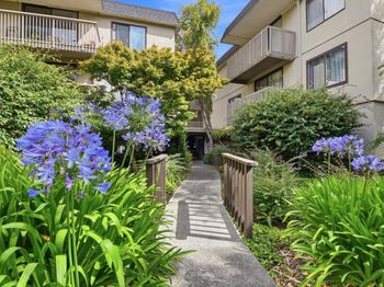 7149 Shelter Creek Lane