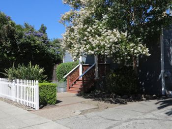 310 Oak Avenue