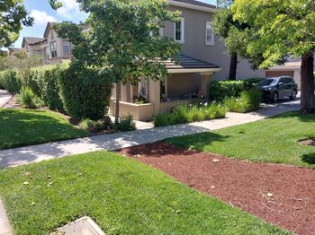 229 Lighthouse Drive