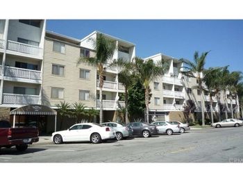 3565 Linden
