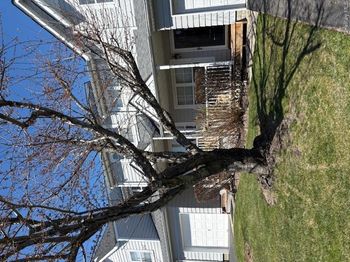 95 Northwood Boulevard