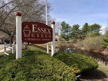 25 Essex Green Ln