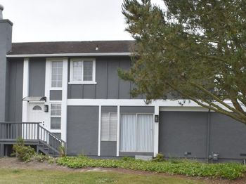3836 Carter Drive