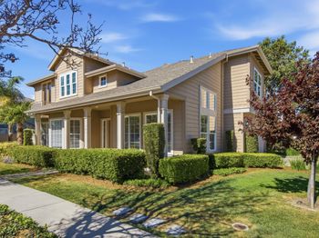 703 Lacewing Lane