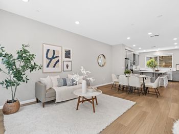 667 Beechnut Court