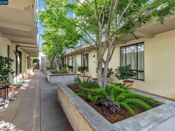 4395 Piedmont Ave