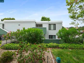 1100 Singingwood