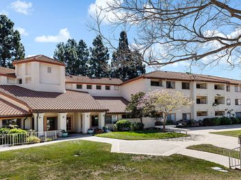 501 Palisades Drive