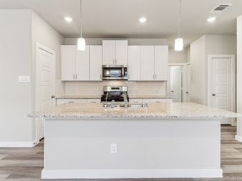 11414 Dark Amethyst Drive