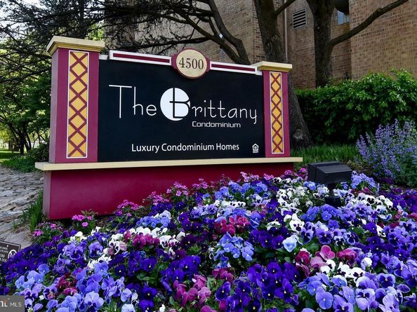 4500 S Four Mile Run Drive 1218, Arlington VA 22204