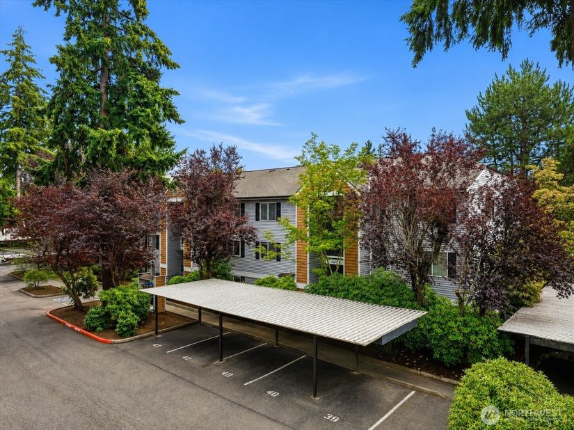 1011 156th Avenue NE 207, Bellevue WA 98007
