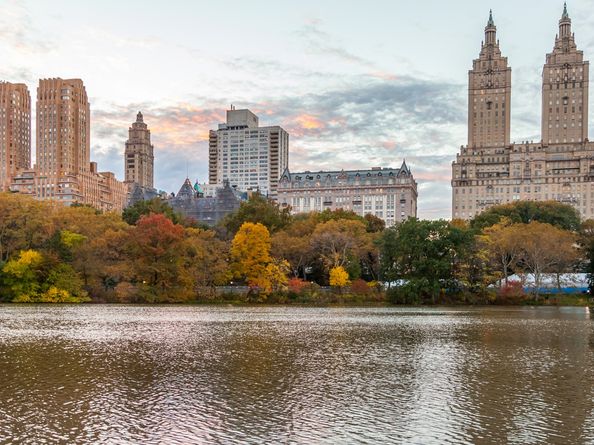 467 Central Park W 1D, New York NY 10025