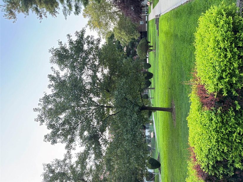 138-35 Jewel Ave. 3D, Kew Garden Hills NY 11367