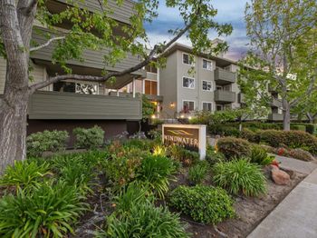 300 Murchison Drive