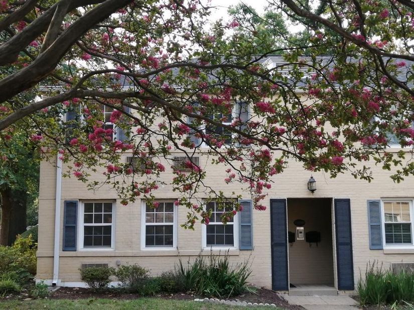 111 N George Mason Drive N 1, Arlington VA 22204