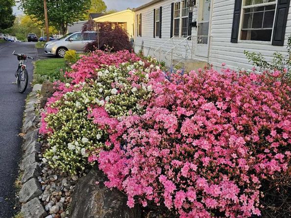 2304 Brownsville Road L22, Feasterville Trevose PA 19053