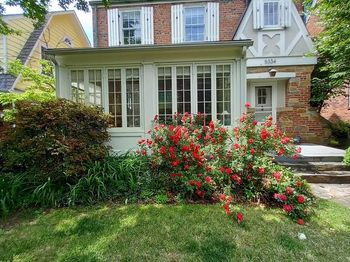 5334 Nebraska Avenue NW