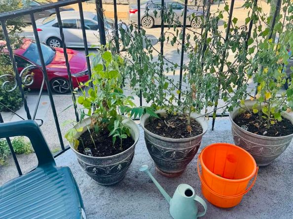 191 Griffith St, Jersey City NJ 07307