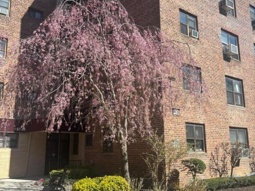 87-19 204th Street A68, Hollis NY 11423