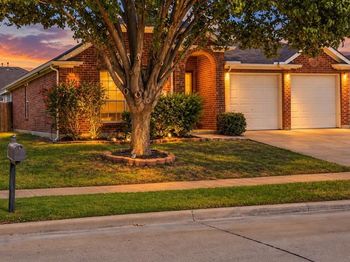 1029  Abigail Drive 