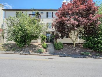 229 Vernon St