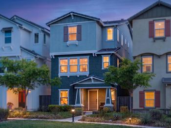 24157 Amaranth Loop