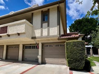 25231 Tanoak