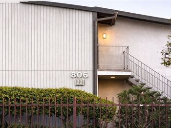 806 Coriander