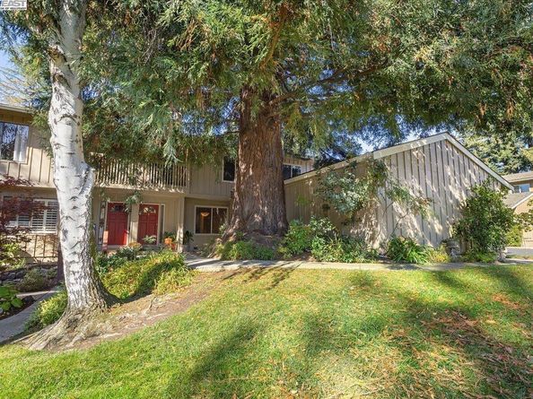 441 Sycamore Hill Dr, Danville CA 94526