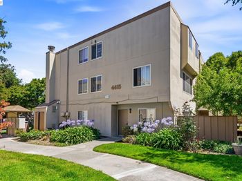 4415 Norwalk Dr