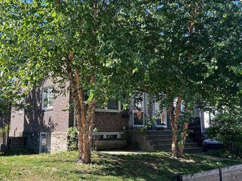138 Osborn Street