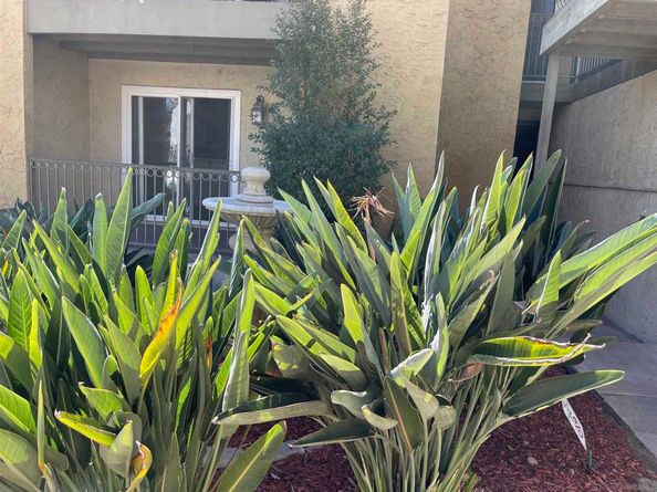 4013 Oakcrest Dr 3, San Diego CA 92105